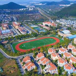 Soccer field at DAIS