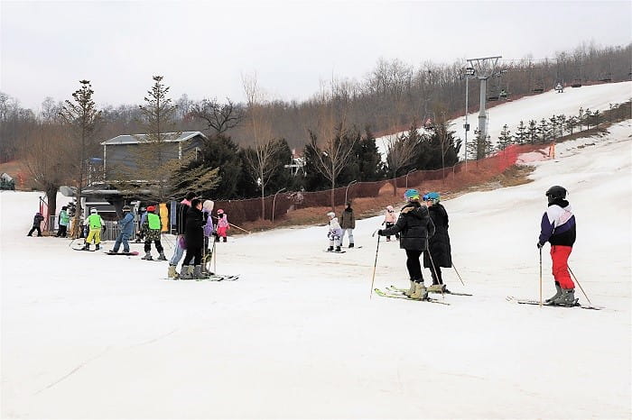 Skiing and Snowboarding