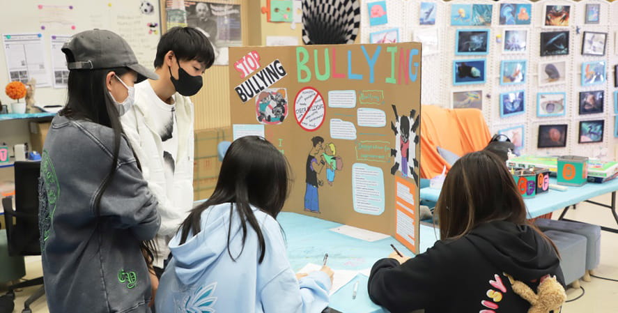 Anti-bullying project