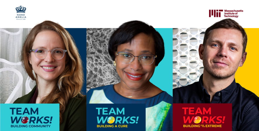 MIT challenges poster