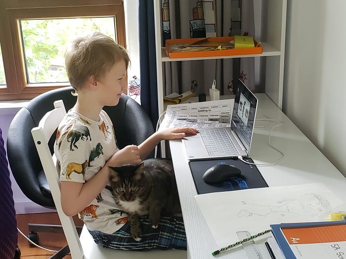 Elementary student learning online