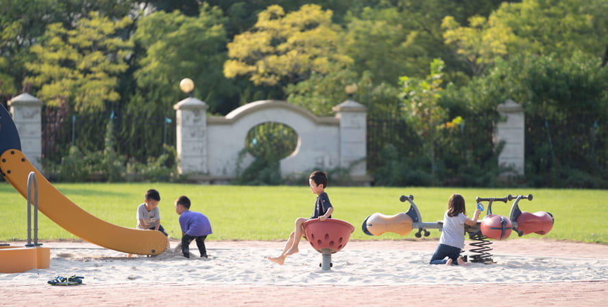 Announcement: Summer Camp 2022 at DAIS - Summer Camp